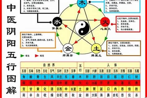 1984年屬什麼|84年属什么生肖 1984年出生什么生肖什么命